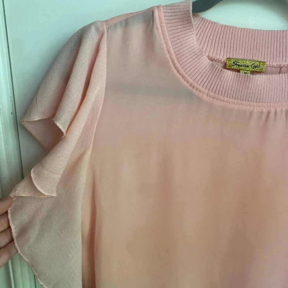 Sheer Pink Ruffle Sleeve Top - Picture 2 of 4